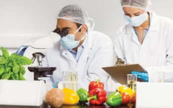 Ποιοτικός έλεγχος τροφίμων