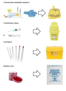 Πράσινη Πολιτική 2 aliment lab