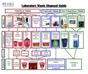 Πράσινη Πολιτική 3 aliment lab